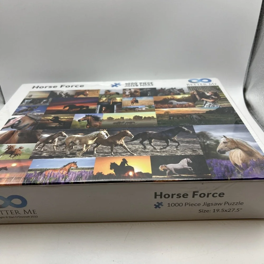 1000 Piece Jigsaw Puzzle 